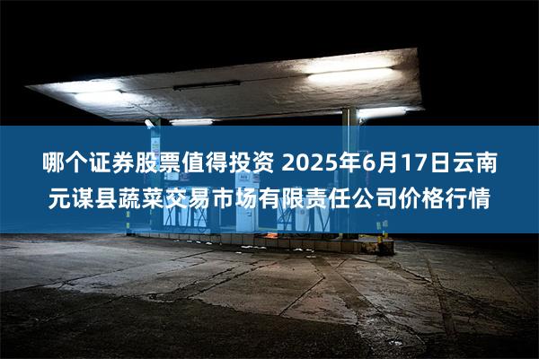 哪个证券股票值得投资 2025年6月17日云南元谋县蔬菜交易市场有限责任公司价格行情