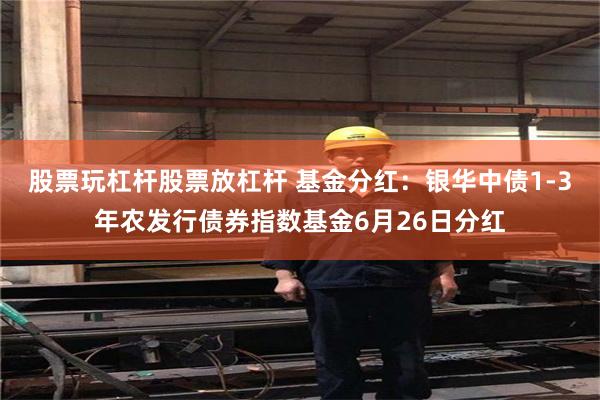 股票玩杠杆股票放杠杆 基金分红：银华中债1-3年农发行债券指数基金6月26日分红