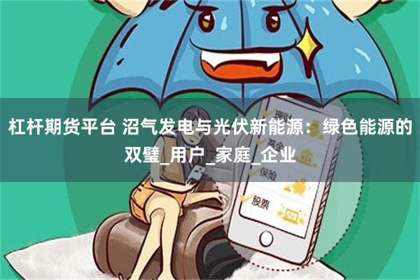 杠杆期货平台 沼气发电与光伏新能源：绿色能源的双璧_用户_家庭_企业